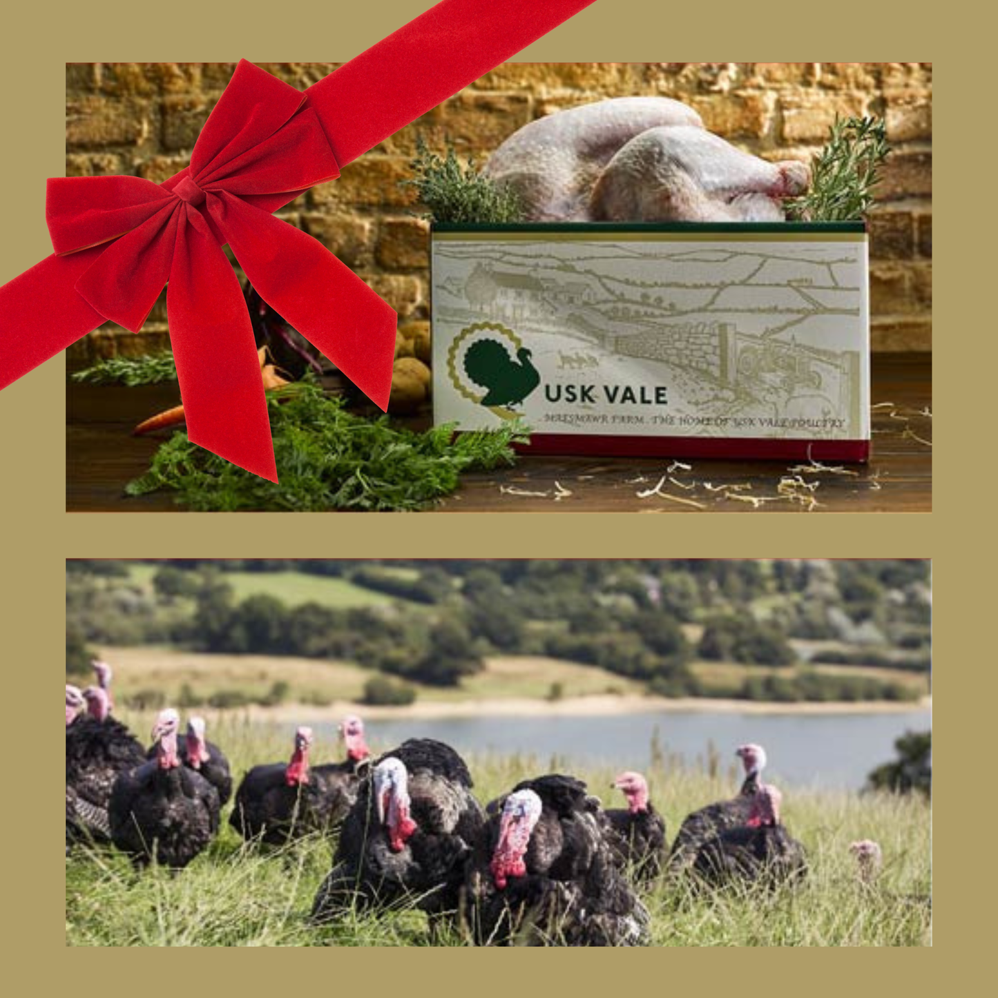 Free Range Bronze Turkey