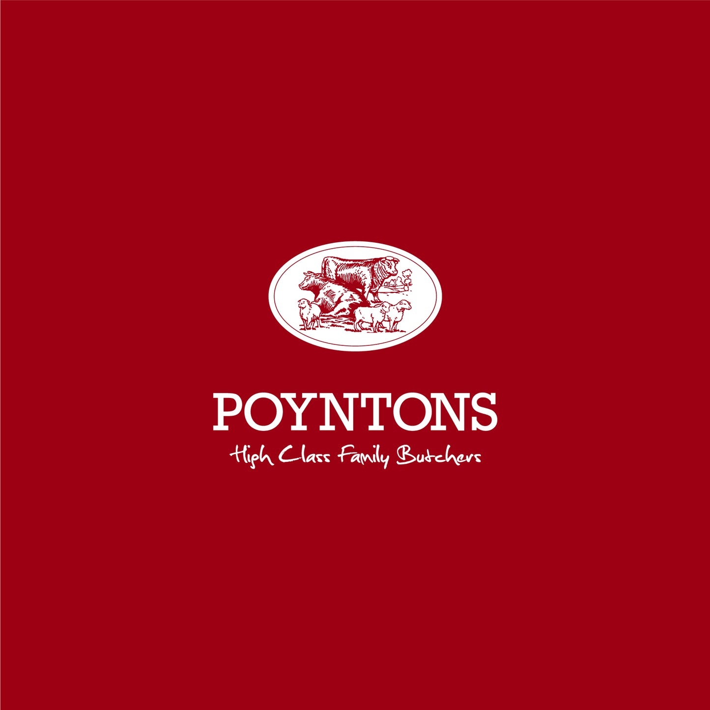 Pork and Stilton Pork Pie