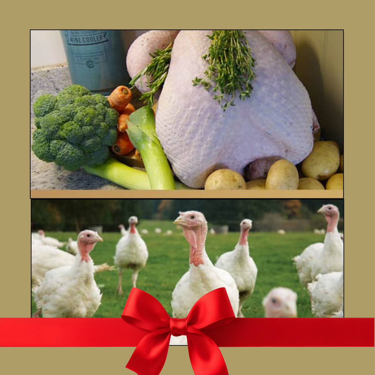 Poultry & Game