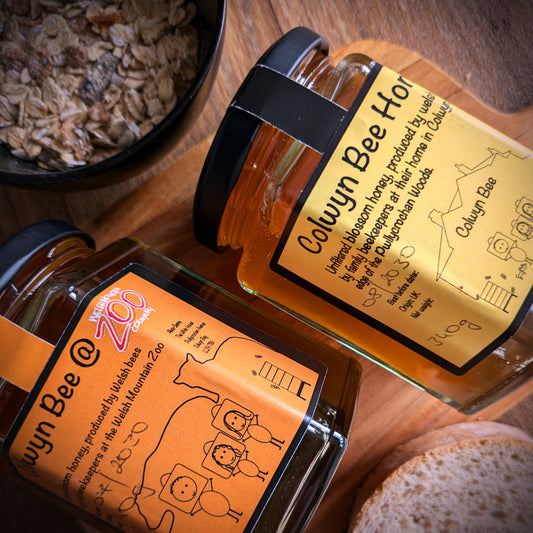Colwyn Bee Honey